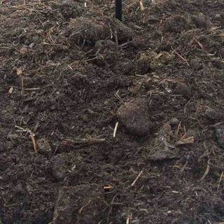 Farm yard manure